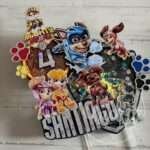 shaker patrulha pata