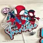 Chickit_TopoSpidey